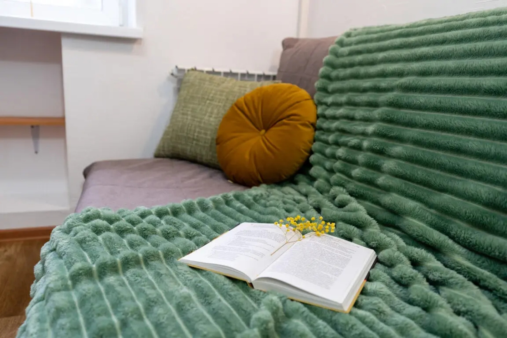 Квартира Пушкинский 1