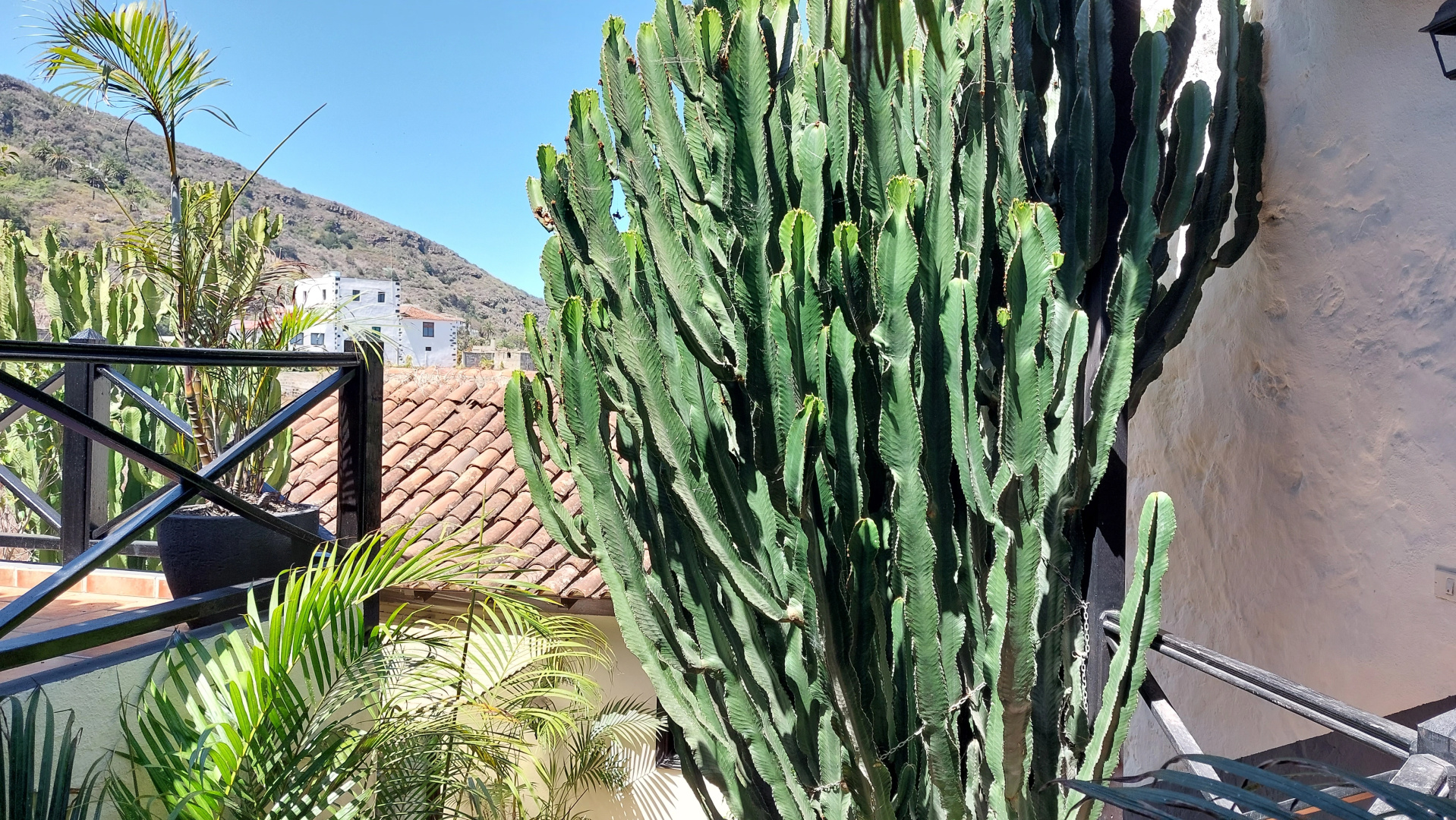 Апартаменты Apartamentos Monasterio de San Antonio Adults Only
