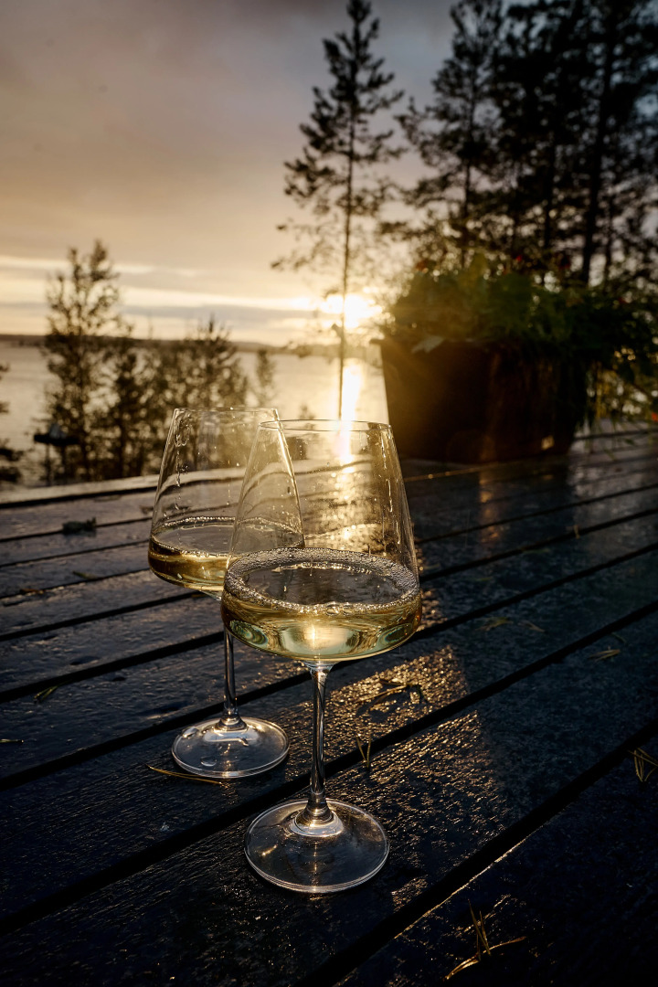 Гостевой дом Dream House in Karelia