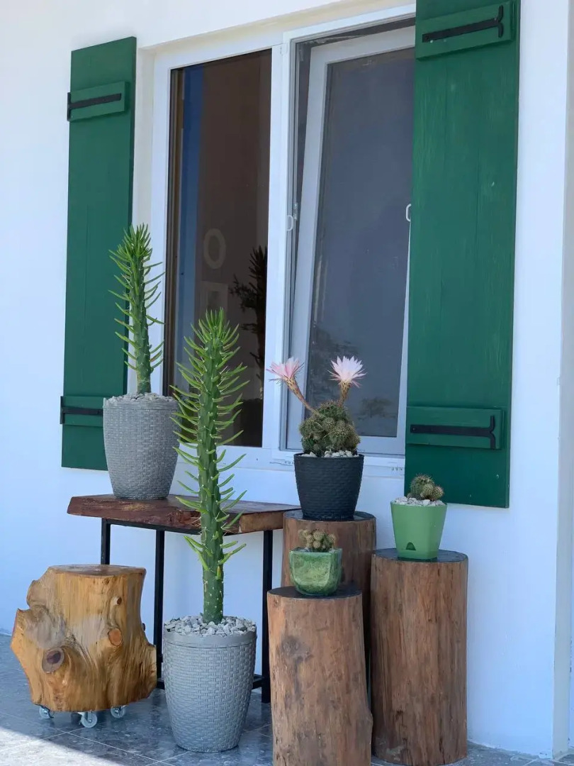 Гостевой дом Black River