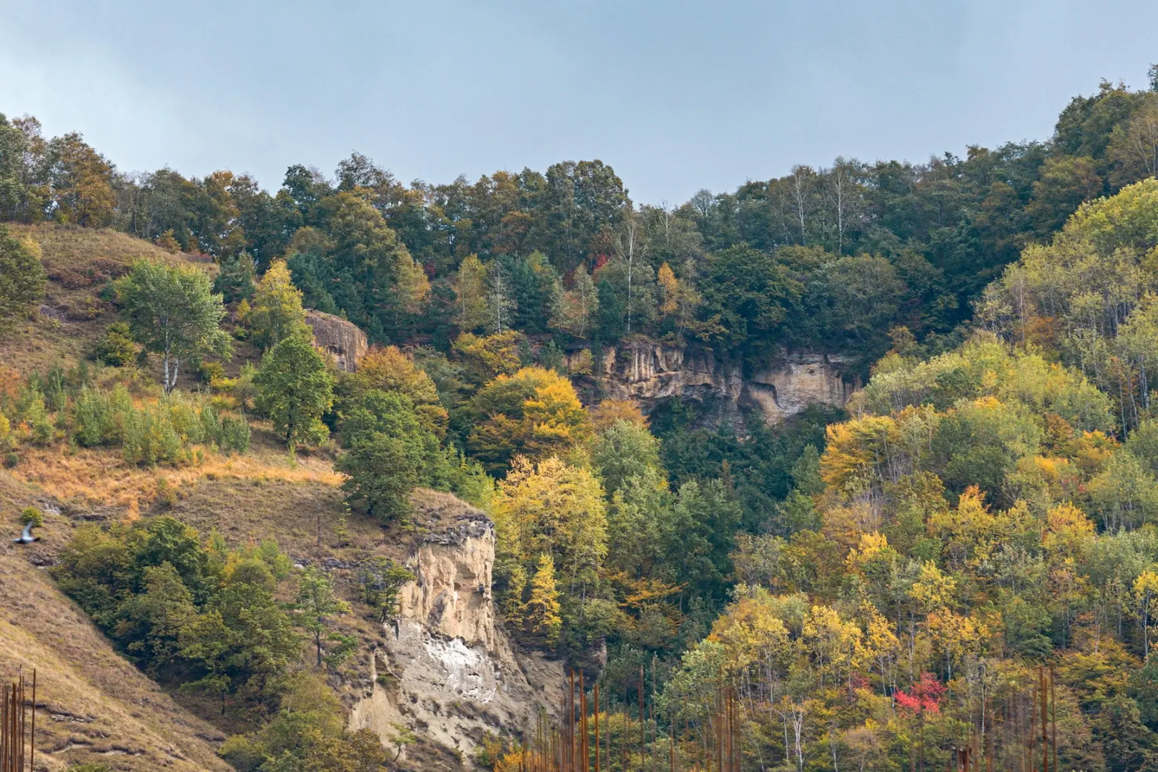 Апартаменты ЖК у парка