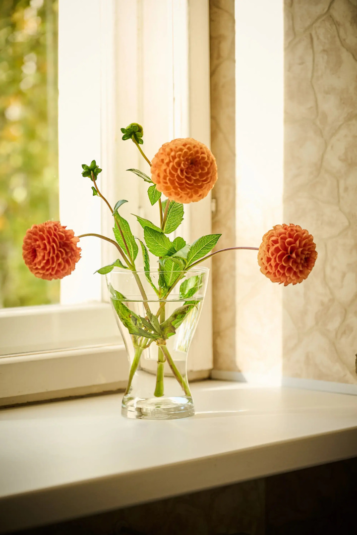 Квартира в самом центре туристические объекты в пешей доступности