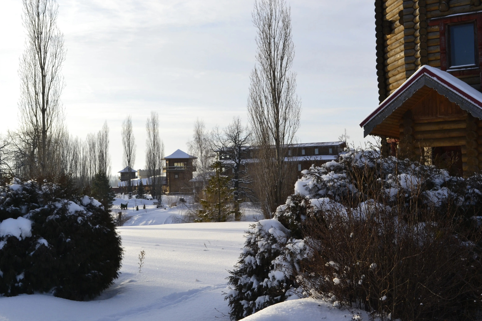 Кленовая Роща