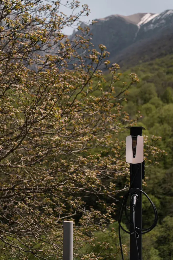 Отель Forrest Terrace