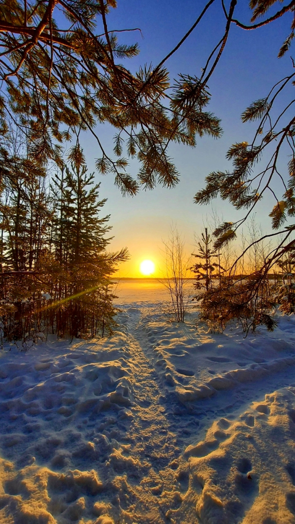 Частный дом MagicHome