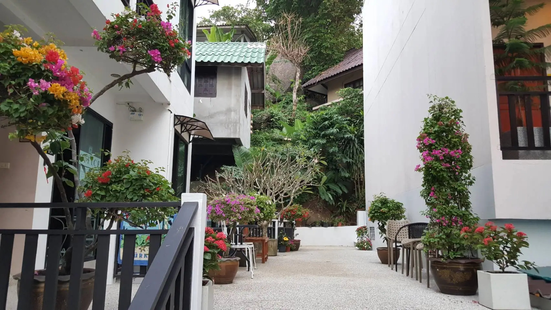 Отель Kata Beachwalk