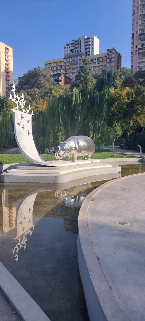 Апартаменты Kiwi