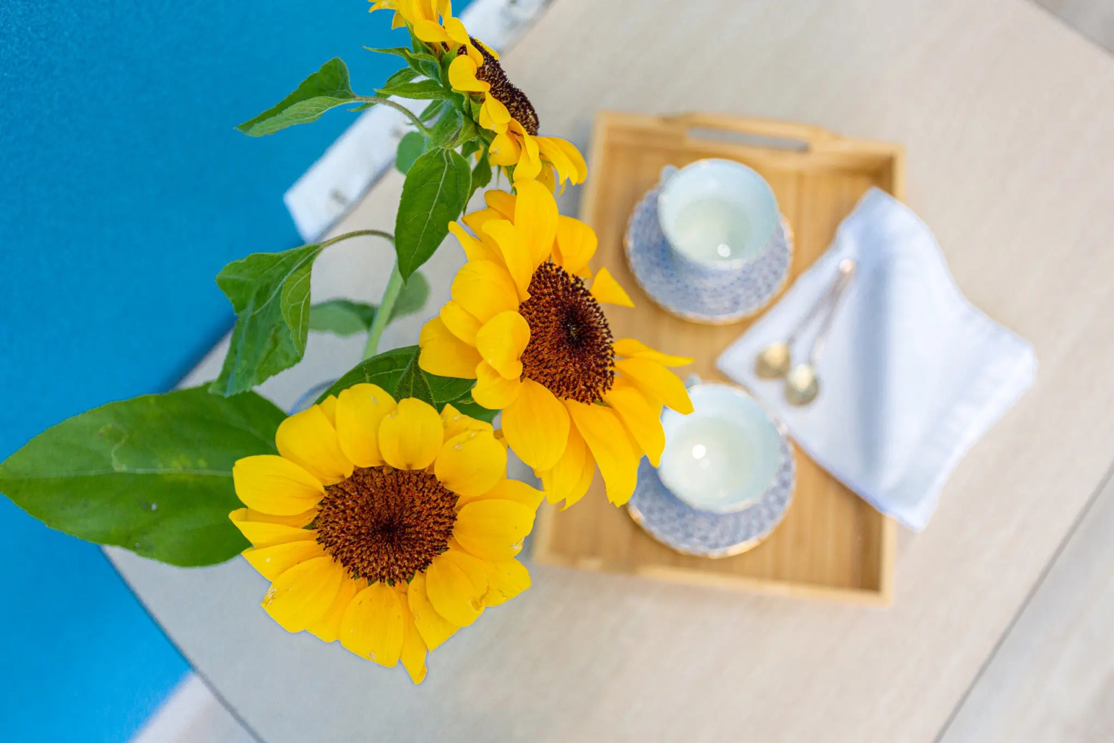 Апартаменты Романовский Lamare Двухкомнатные с  Балконом и Видом на Море