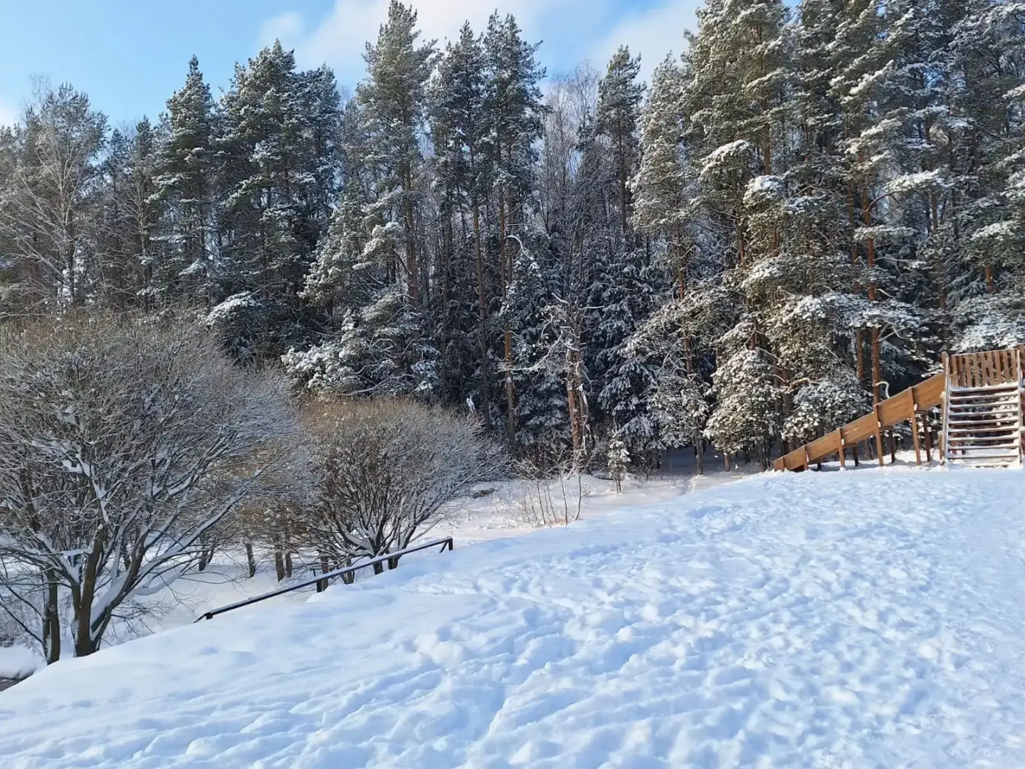 Частный дом в Заветах Ильича с голубой гостиной