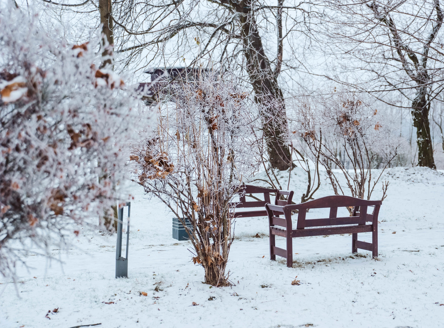 Dwór w Tomaszowicach