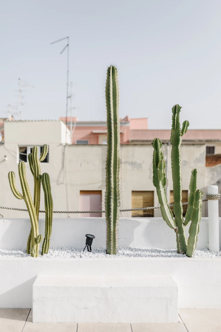 Bed&Breakfast Fra Cielo e Mare