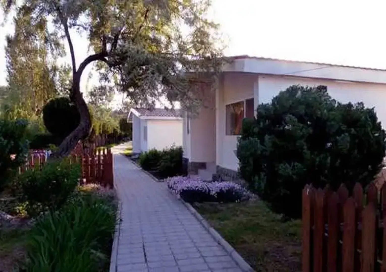 База отдыха Динамо 1