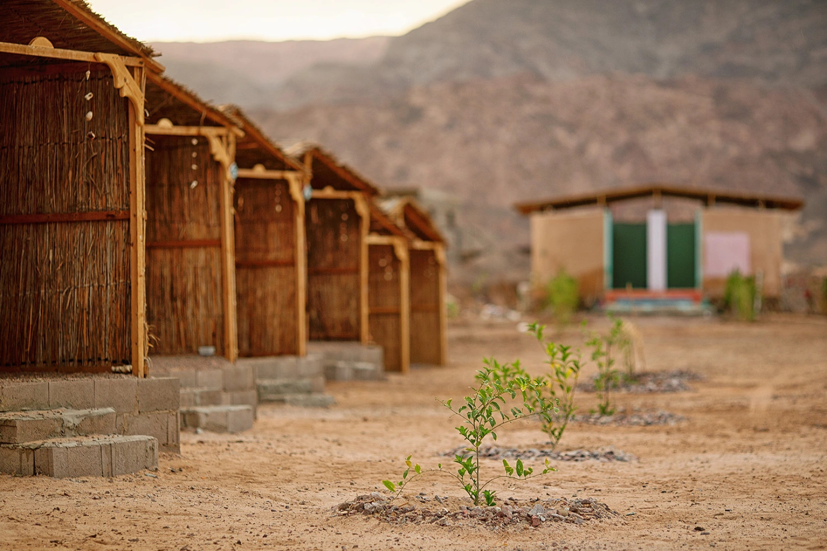 Кемпинг Bamba Camp