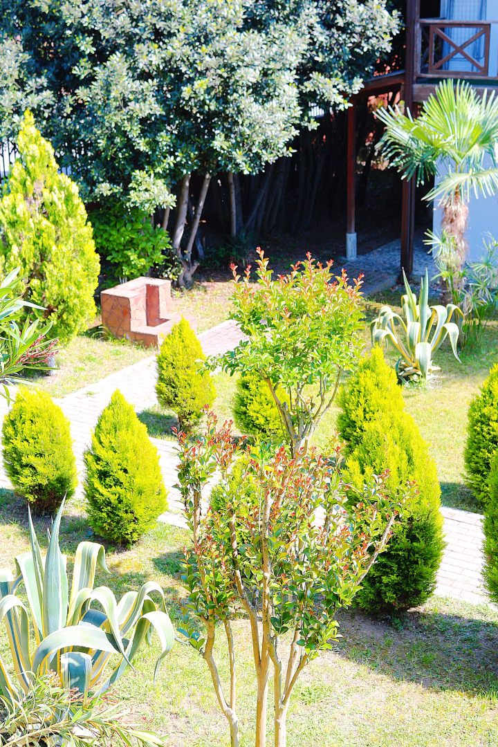 Гостевой дом Алашара