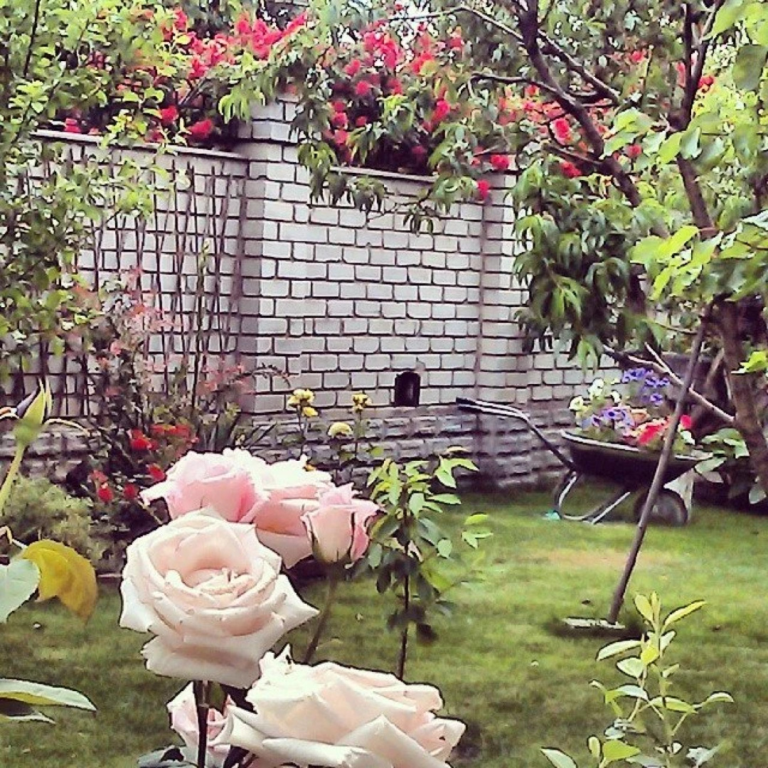 Апарт-Отель Южный Дворик