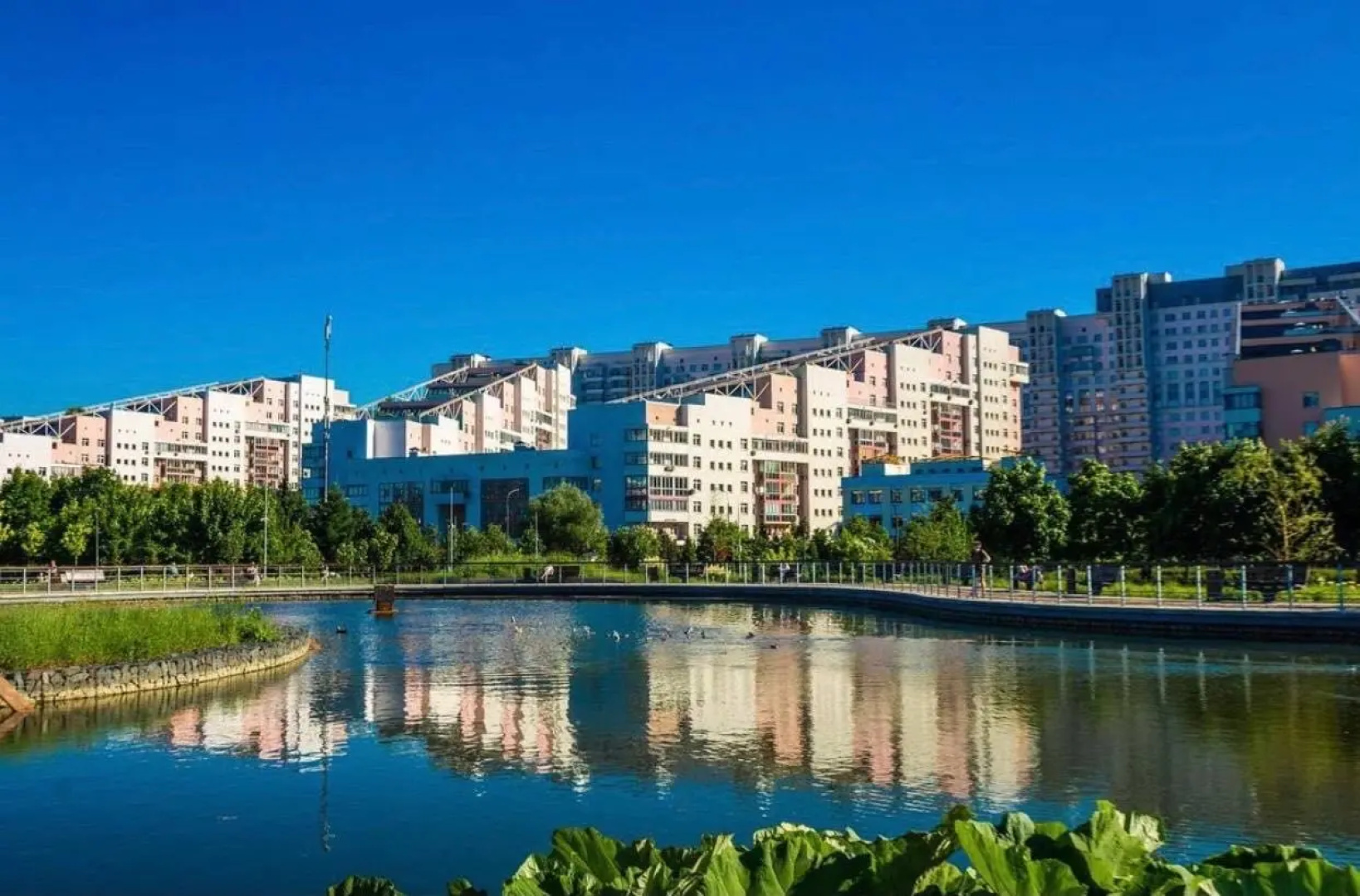 Апартаменты Делюкс Elite Apartments