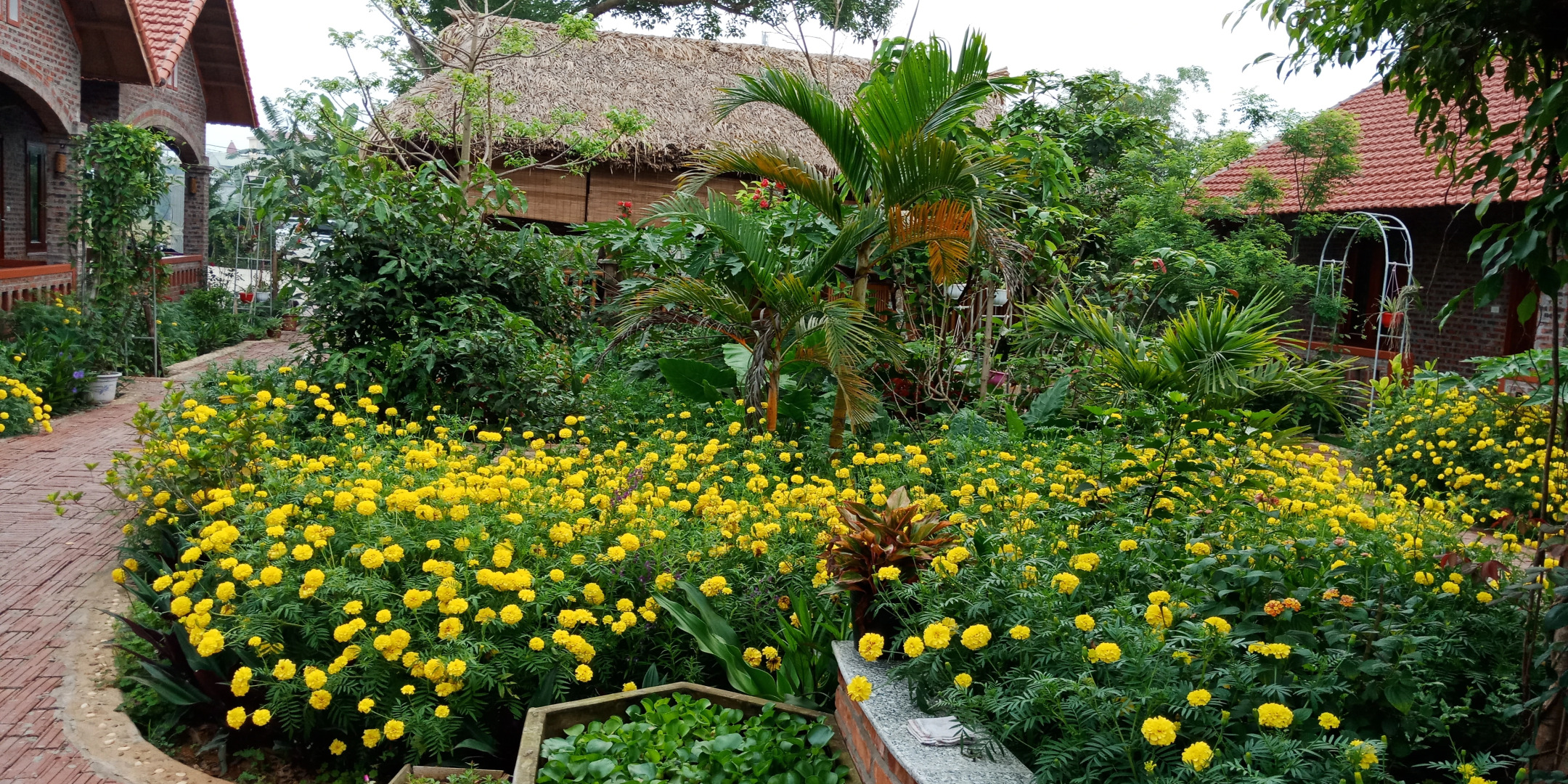 Отель Ninh Binh Eco Garden