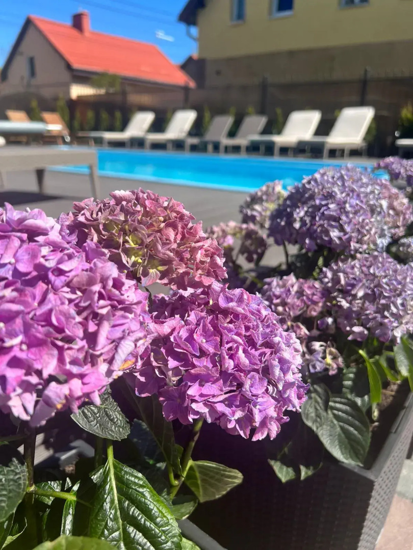 Мини-отель Villa History