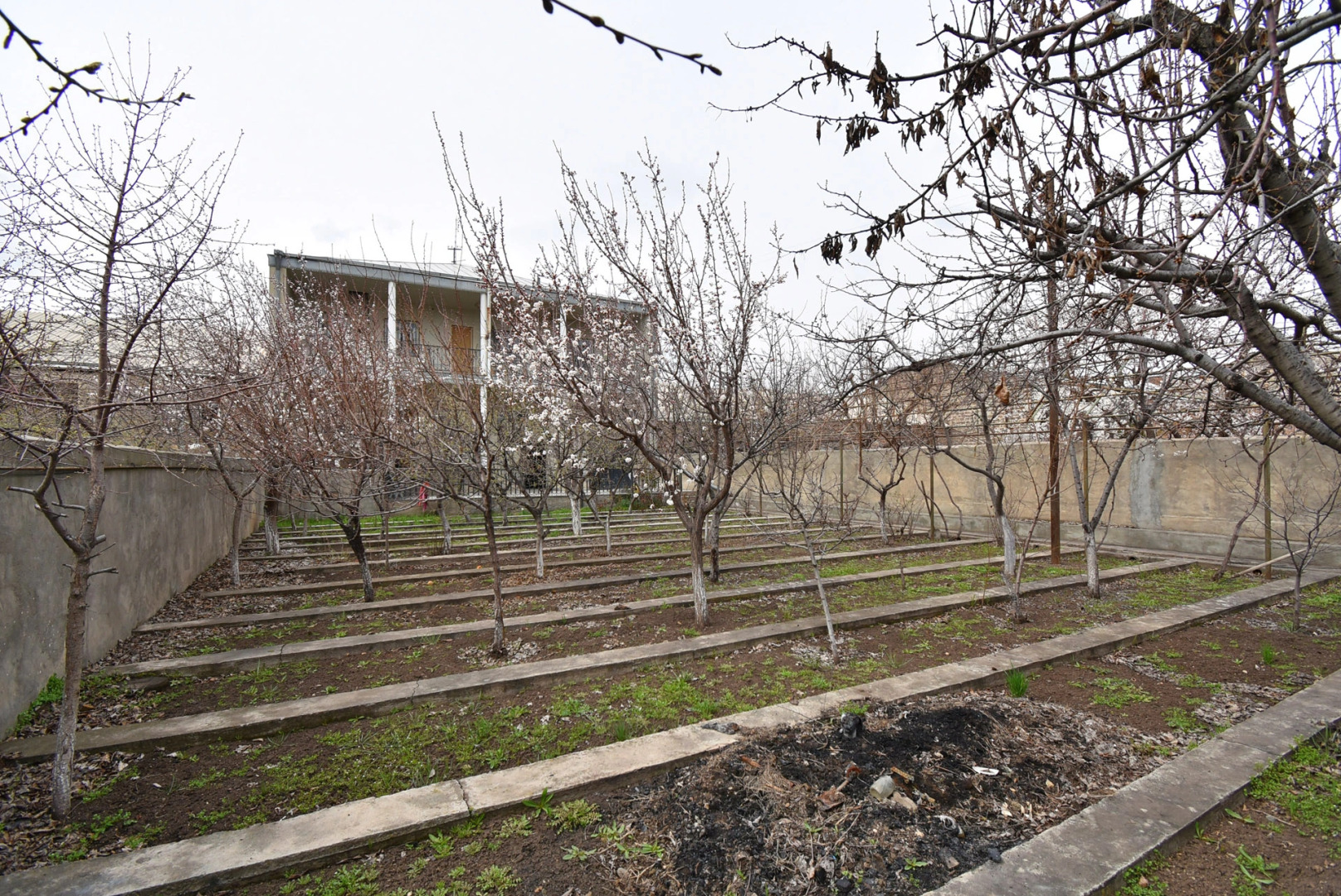 6 комнатный особняк с видом на сад