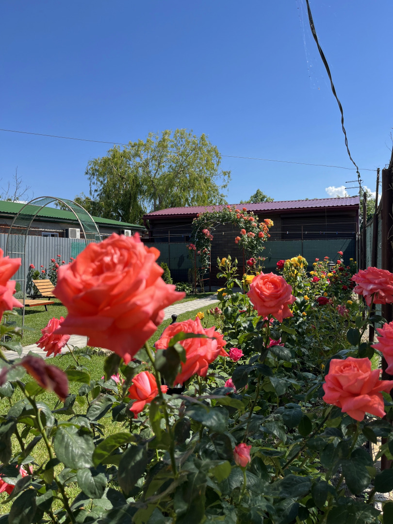 Частный дом Велес