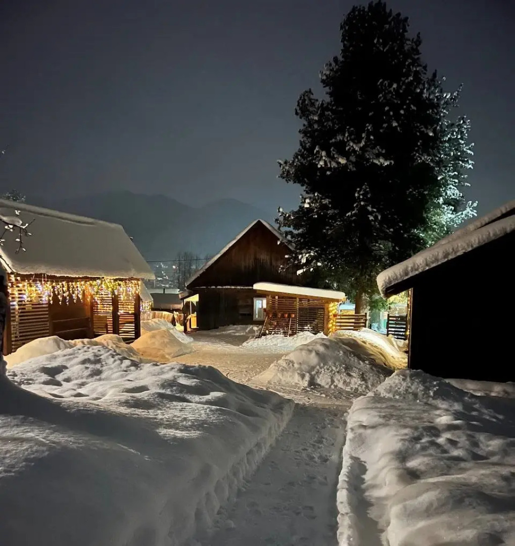 База отдыха Алтай