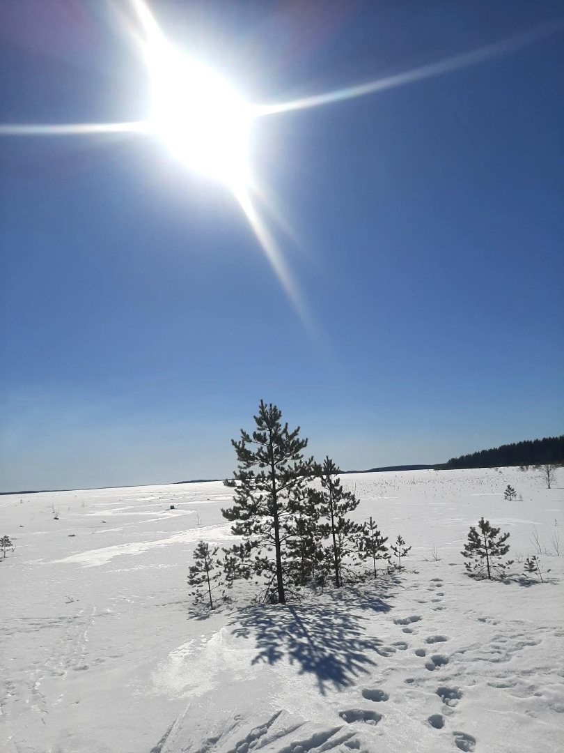 Отель Сегежа