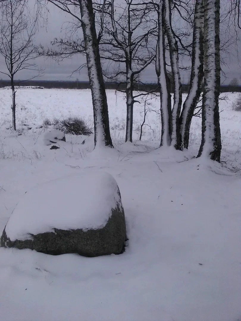 Апартаменты Philisa na Turbaze Зеленая