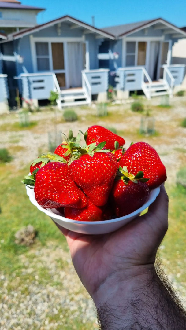 Гостевой дом Вилла Лаванда Абхазия