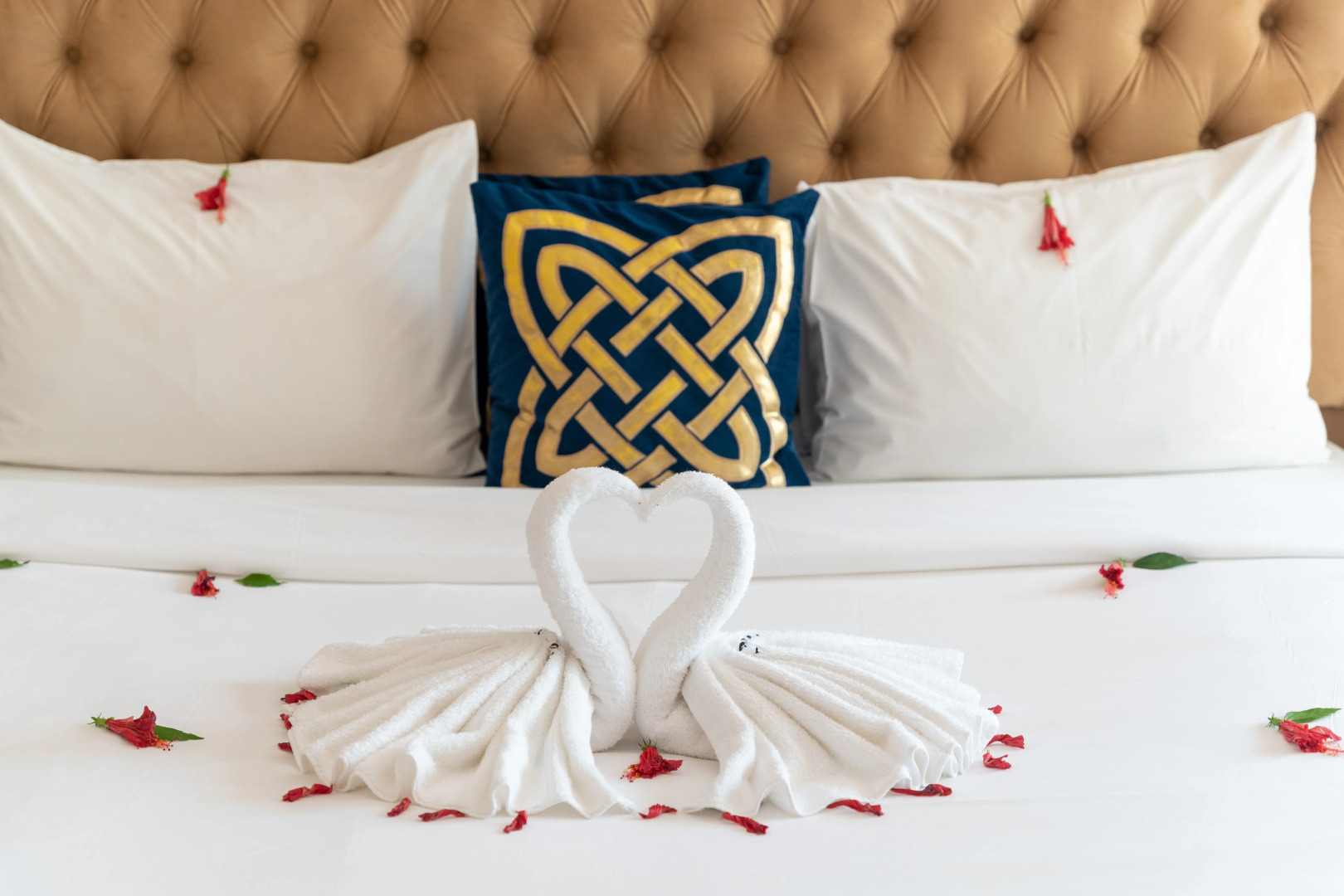 Отель Five Palms