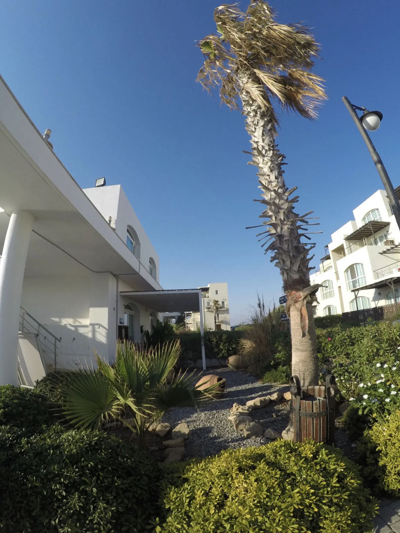 Апартаменты Aphrodite Beachfront Village