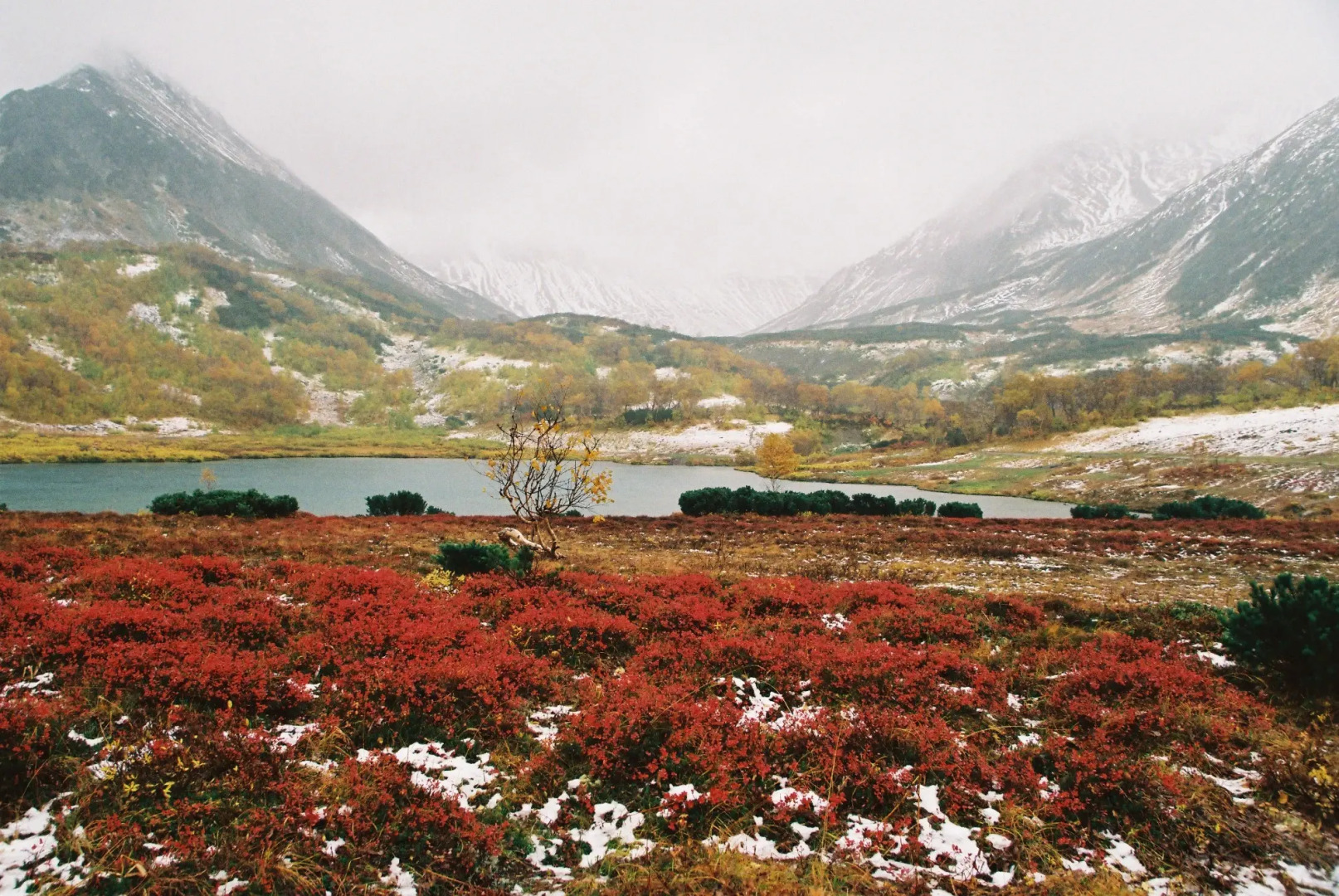 База Отдыха Росомаха