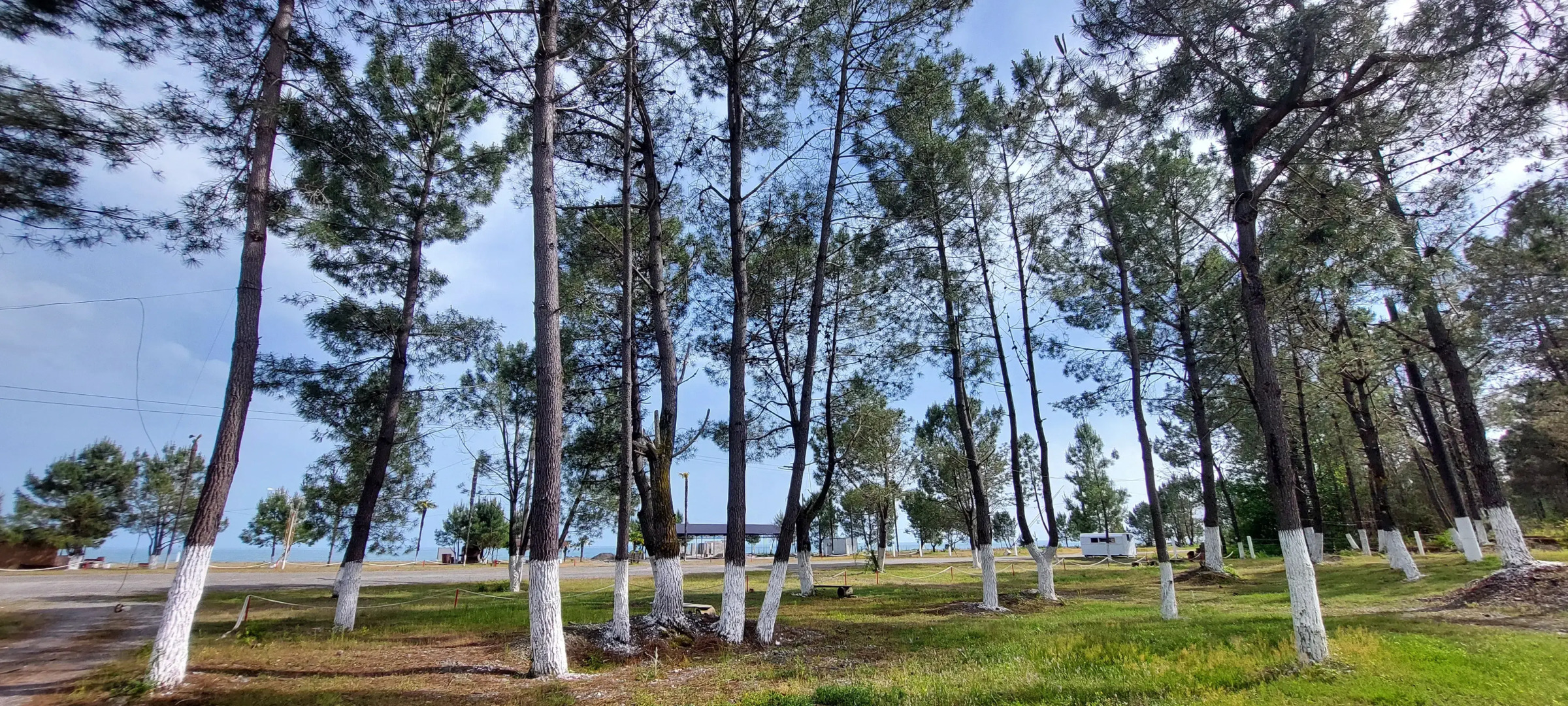 Курортный отель Сосновый Бор