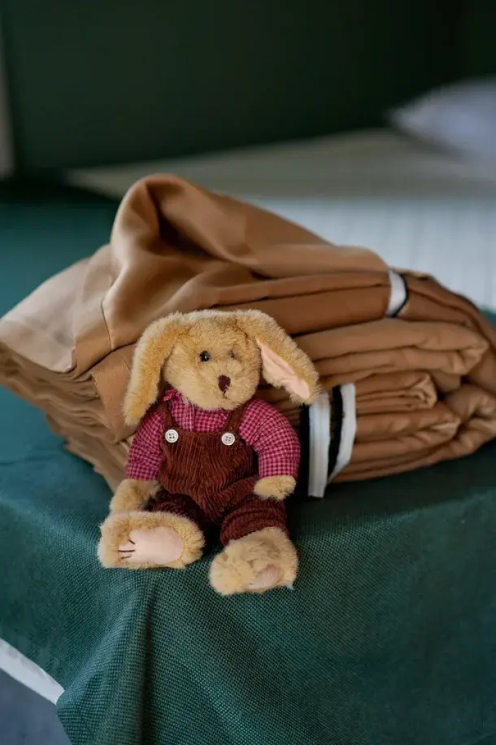 Апартаменты Plantage 1 на Пионерской