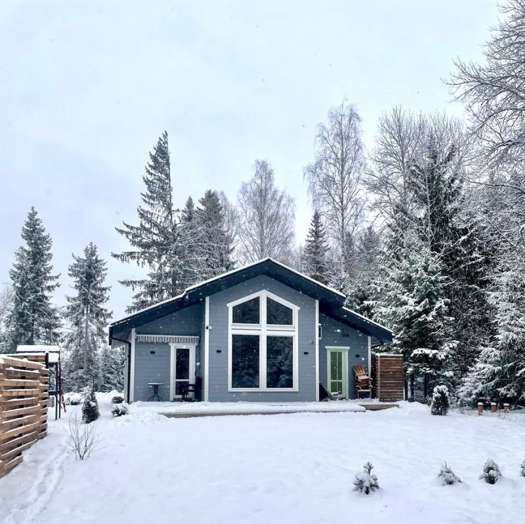 Частный дом SkandyVillage