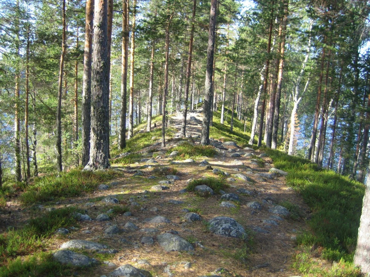 Вилла Pajarinniemi Cottage