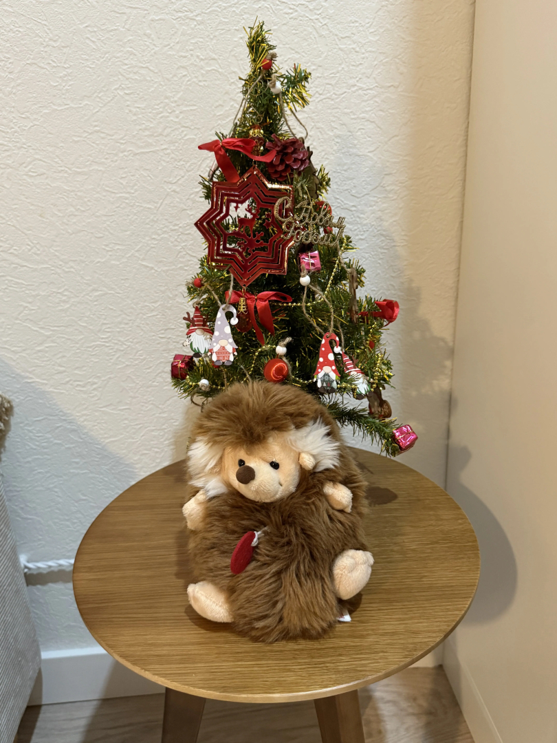 Квартира Студия БОХО в ЖК Сердце Ярославля