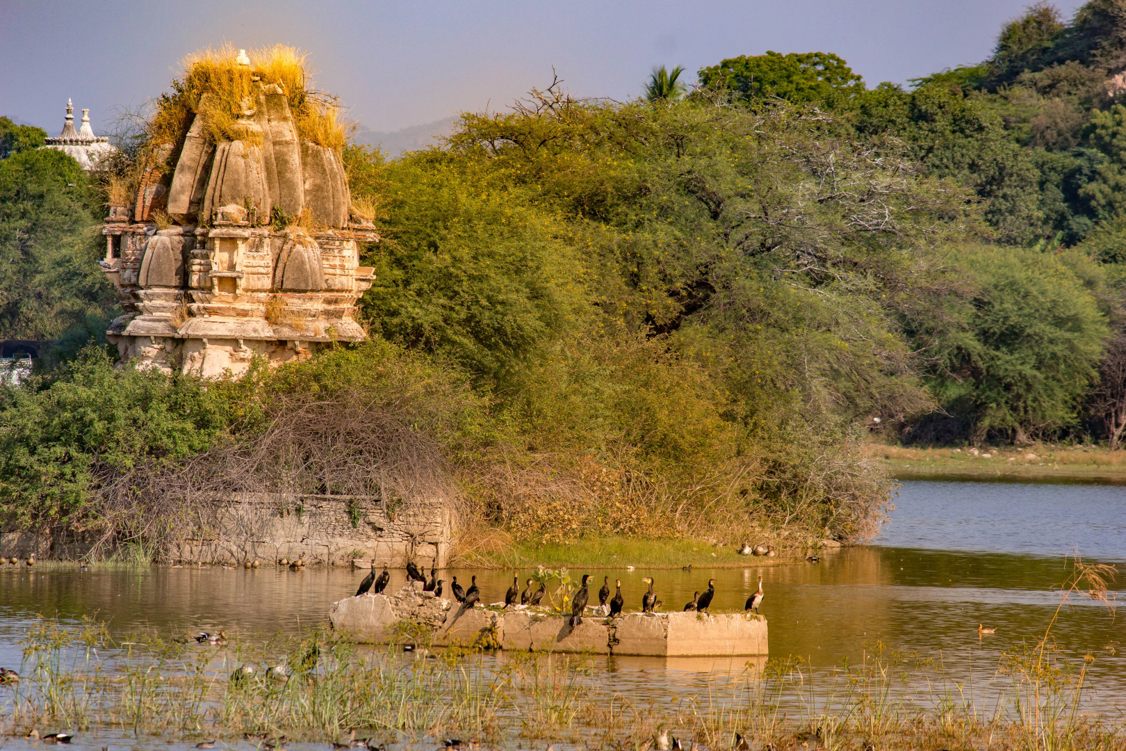 Отель Dev Shree Relais and Châteaux Luxury Deogarh
