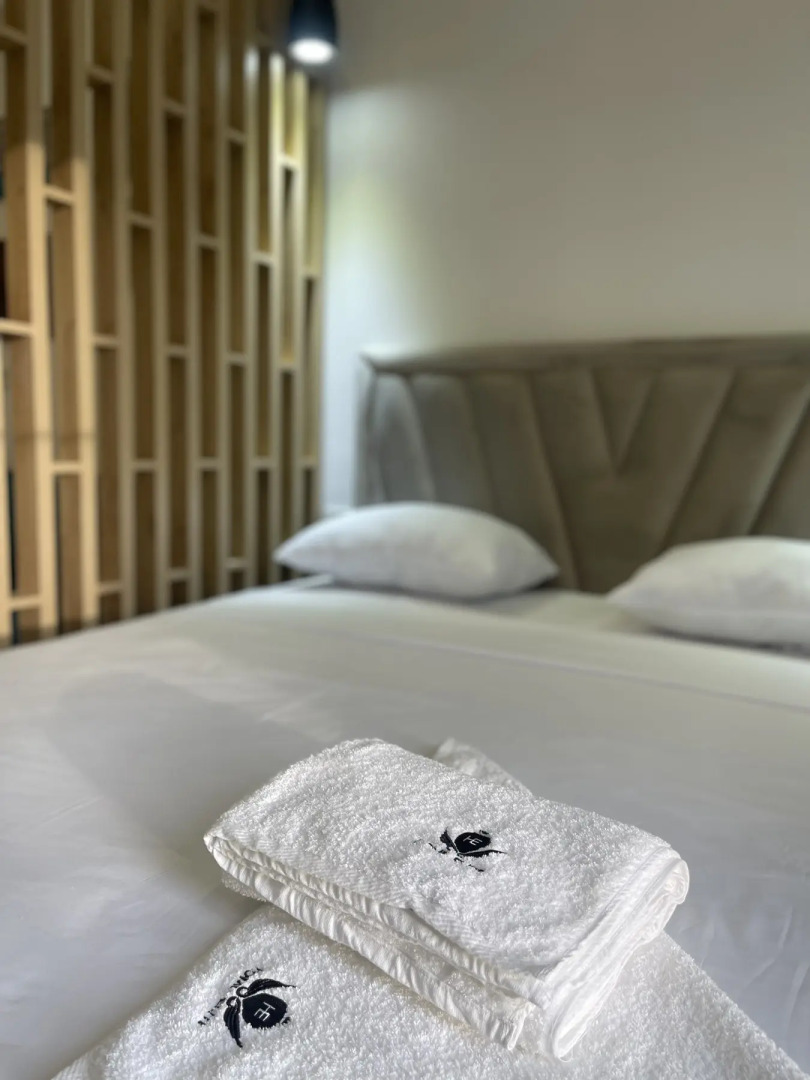 Бутик-отель Aygestan Plaza