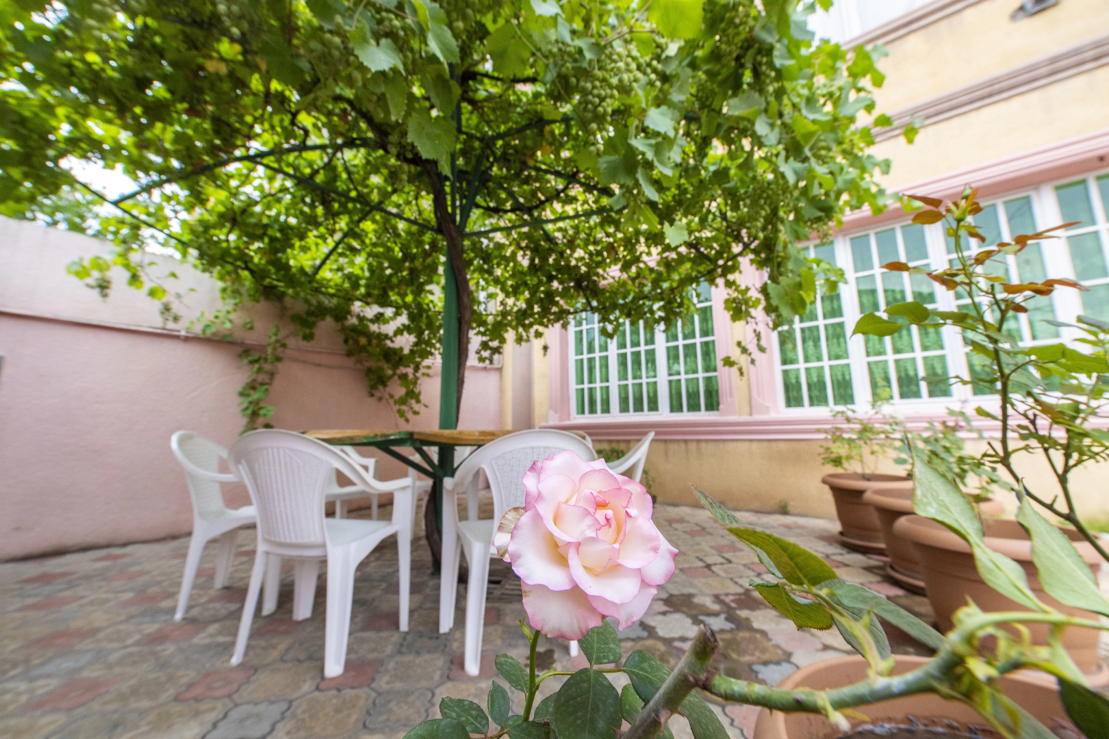 Гостевой дом с 5 спальнями