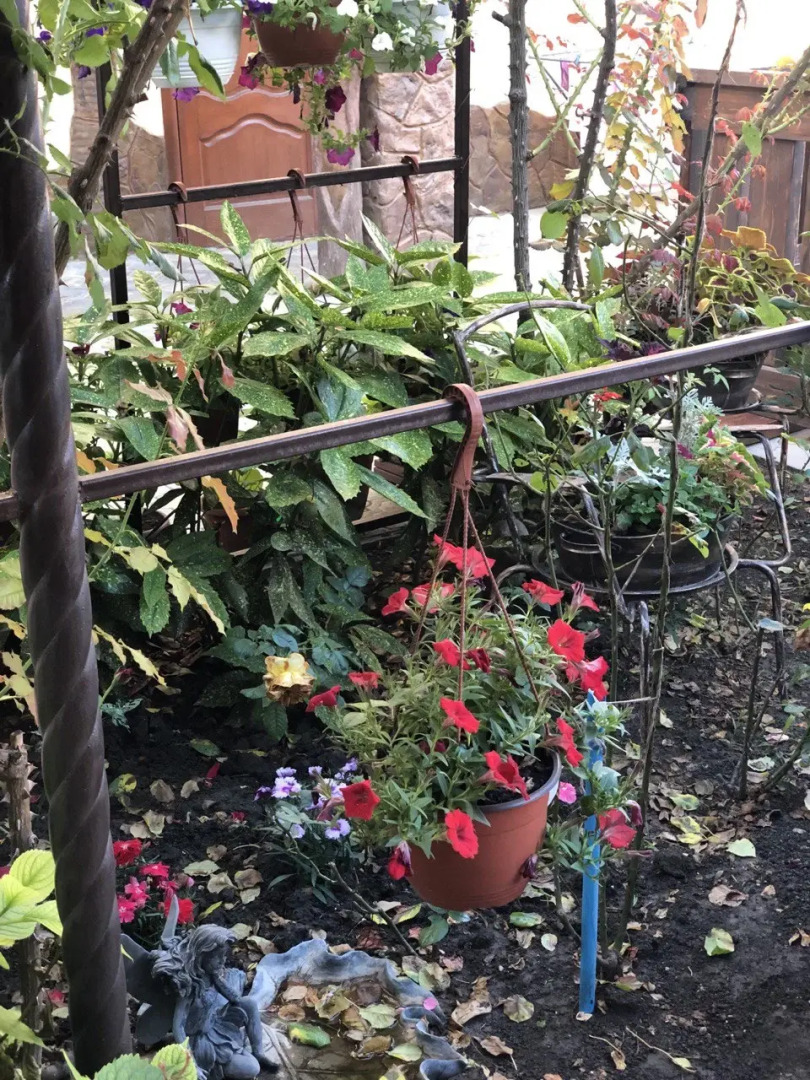 Гостевой дом Домик у моря