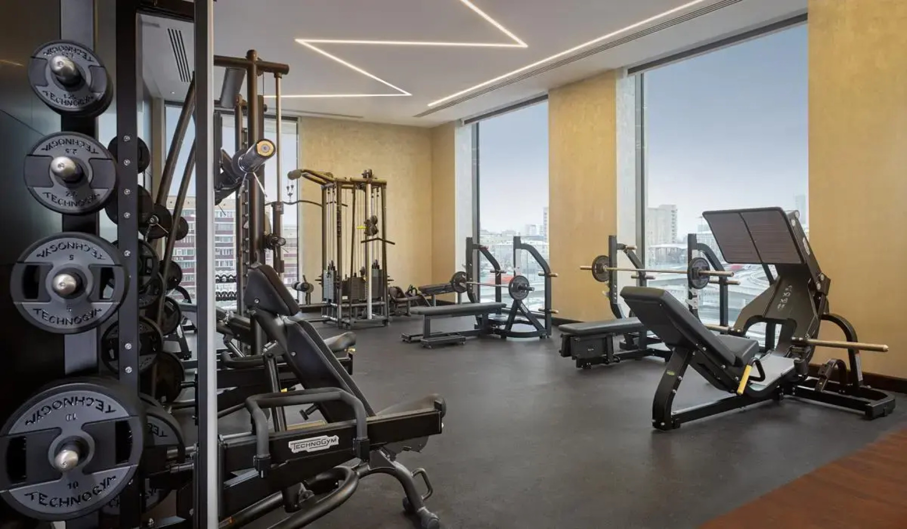 Отель Hyatt Regency Moscow Petrovsky Park