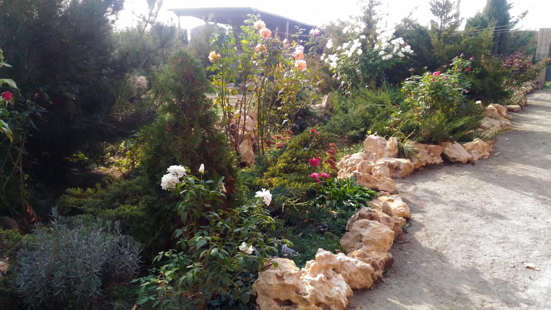 Гостевой Дом Адель Николаевка Крым