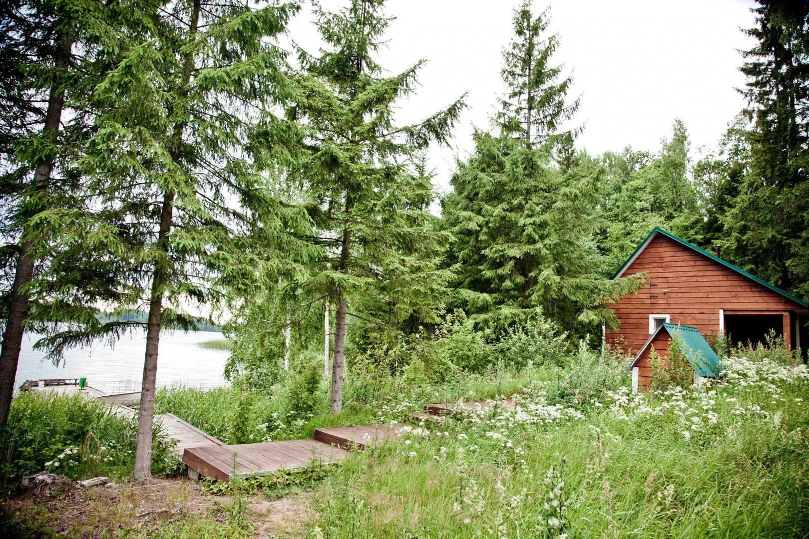 База Отдыха Лесные Дали