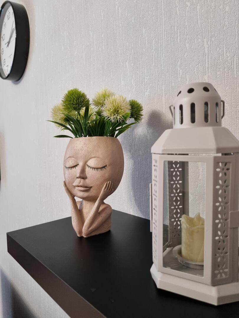 Апартаменты Завидово. Свежий воздух