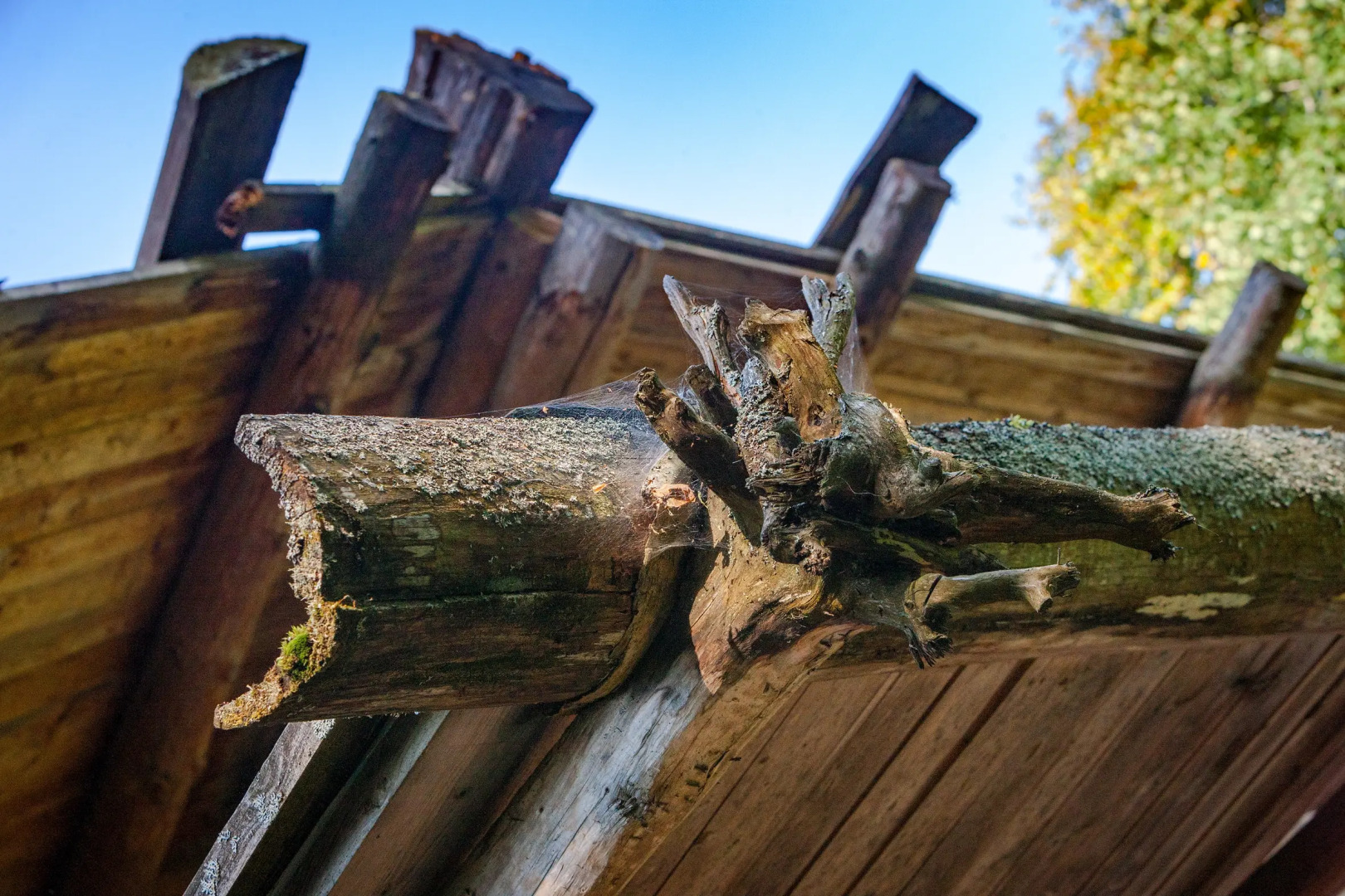 Бутик-отель Архангельская дача