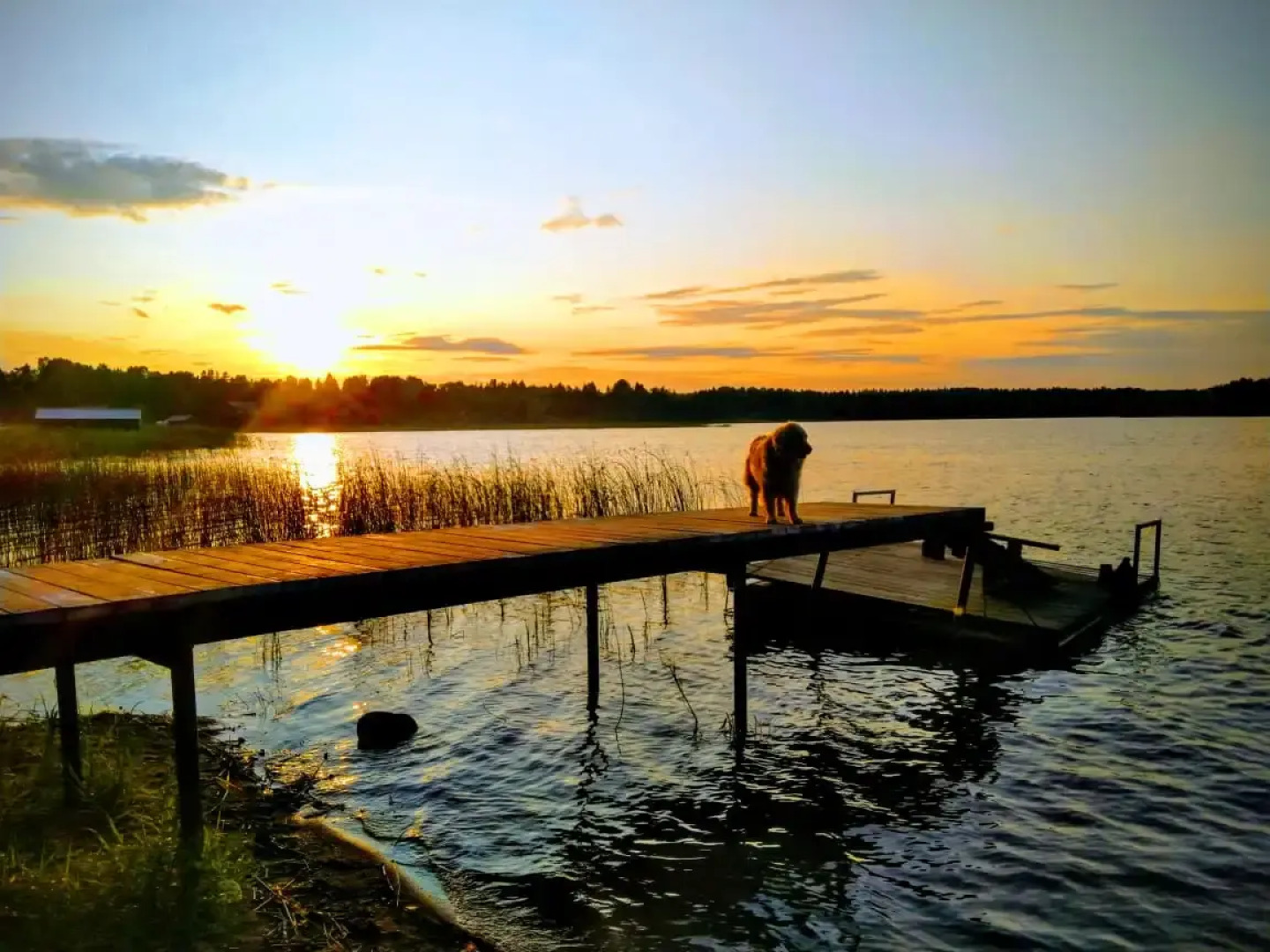 Гостевой Дом Шишки