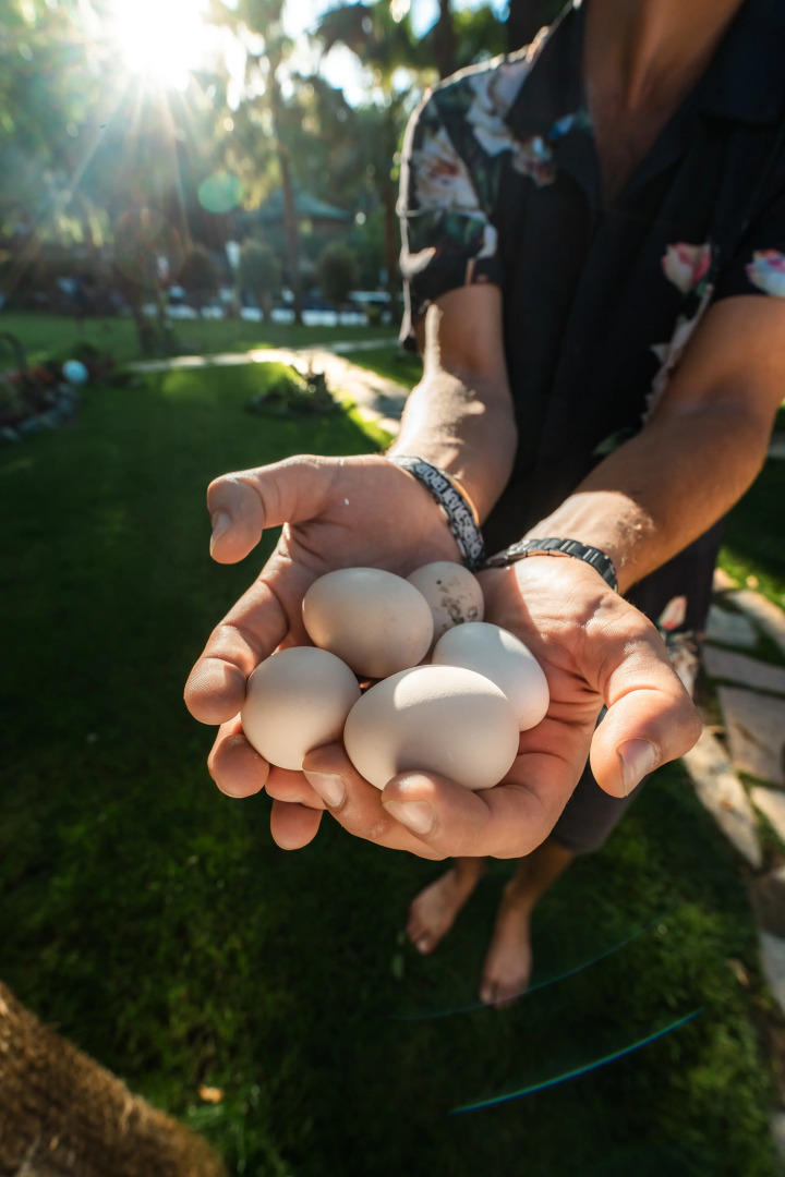 Отель Layla Gocek - Adults Only