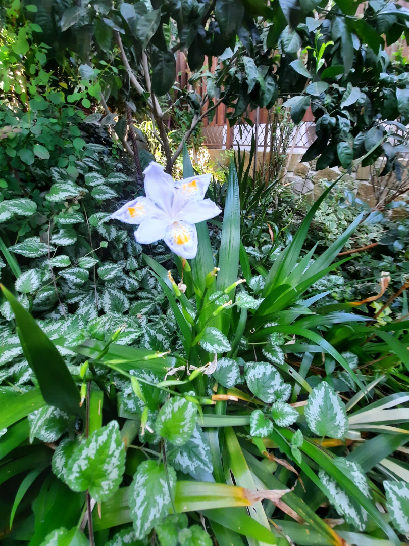 Гостевой дом Были-жили