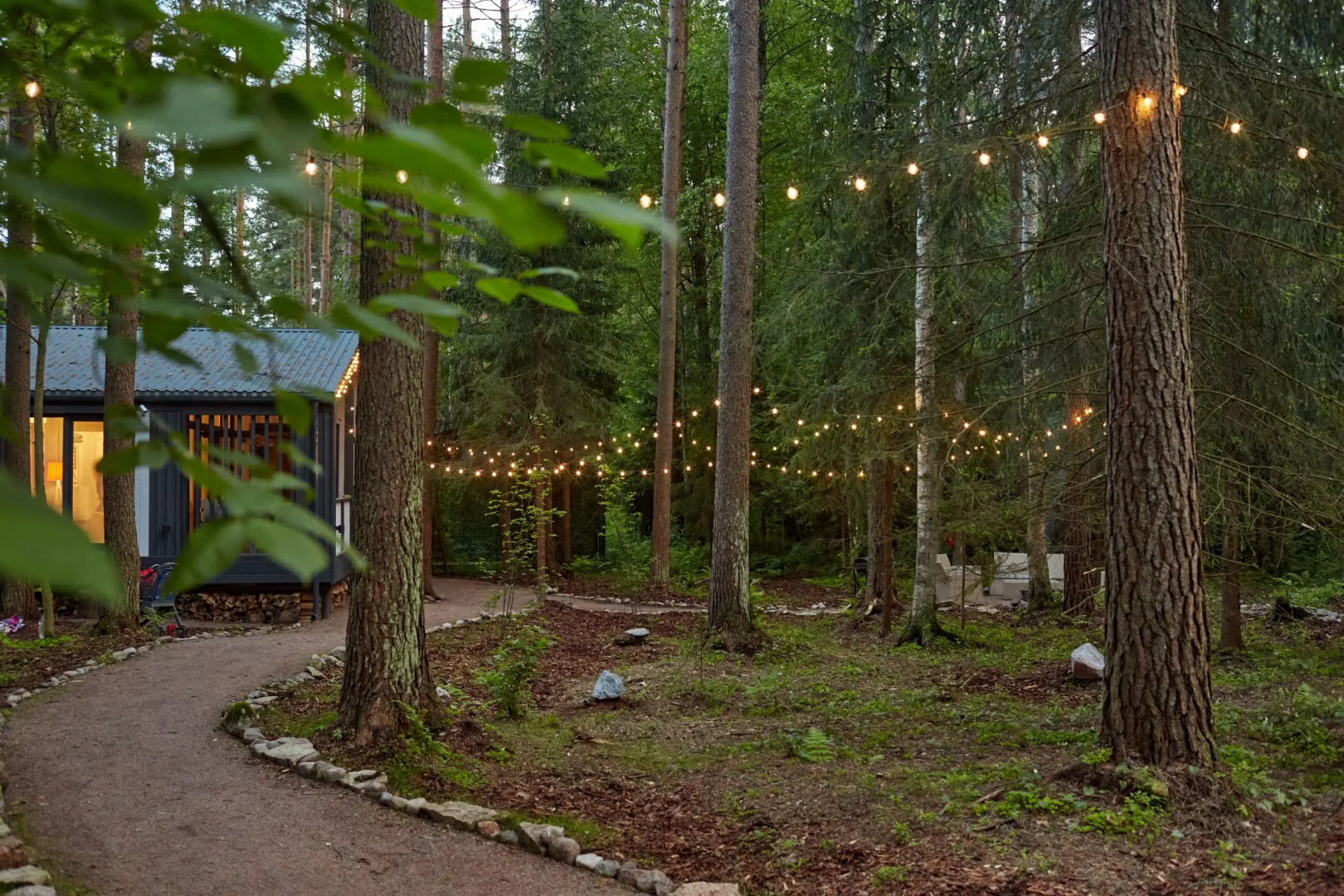 Частный дом Репинская дача на опушке красивого леса