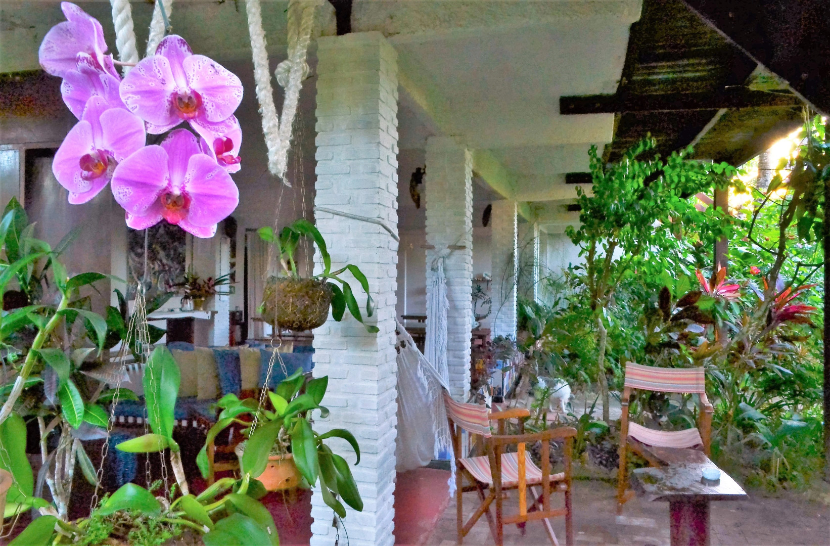 Отель Village do Dendê Garden Guesthouse and Bungalows